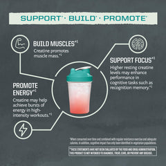 Creatine Monohydrate powder bottle on a light background