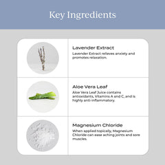 Lavender extract close-up used in the formula
