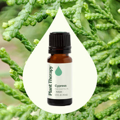 Close-up of Plant Therapy Cypress Essential Oil bottle