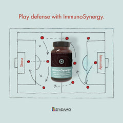 Illustration of Skullcap, Magnolia and probiotics for ImmunoSynergy