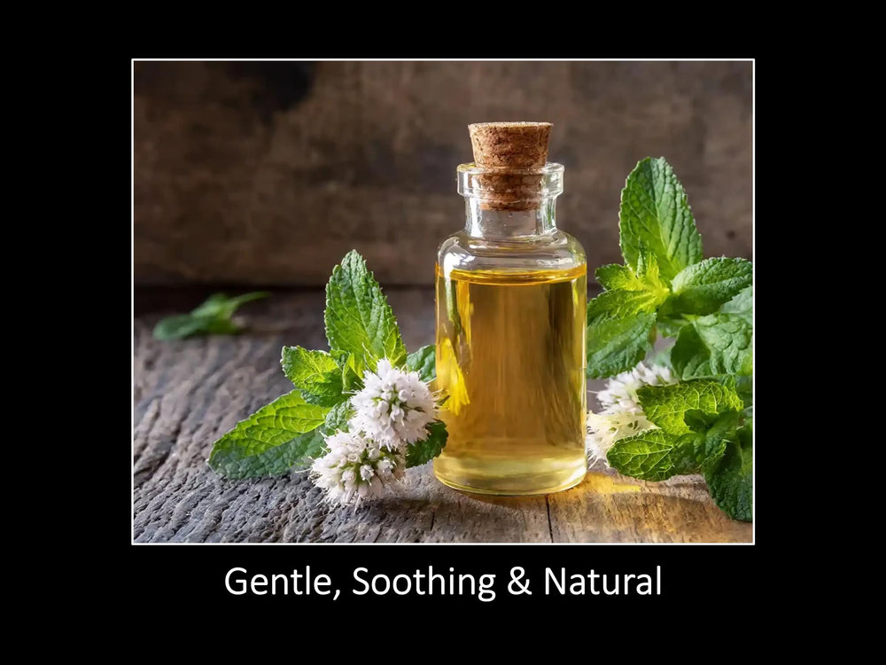 DAANA Peppermint Essential Oil dropper closeup for precise aromatic blending