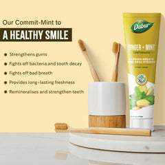 Natural ginger and mint extracts depicted for toothpaste