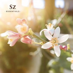Daidai blossom essential oil bottle isolated