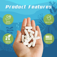 Okinawa coral reef illustration representing marine-grade calcium
