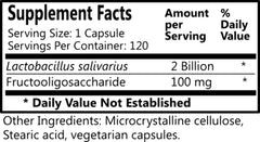 Daily L-Salivarius bottle with English label