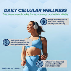 Daily capsules for brain health and focus