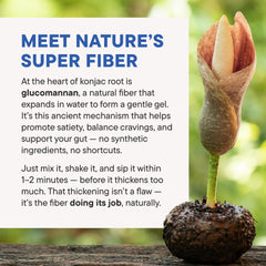 Illustration of improved gut health from FeelFull prebiotic fiber