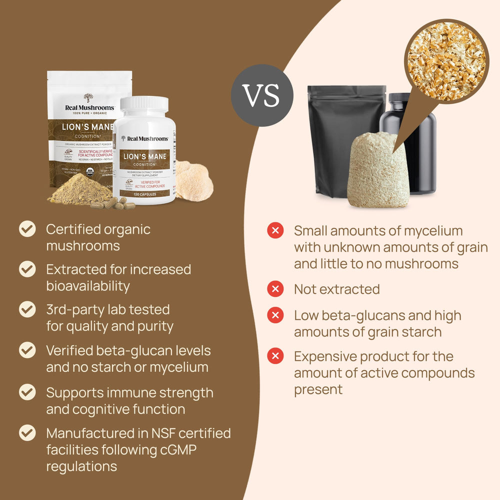 Lion’s Mane capsules ready to use daily or mix into meals