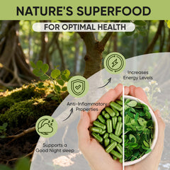 Daily on-the-go moringa capsules