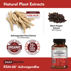 DailyNutra KSM-66 Ashwagandha capsules closeup shows evenly sized vegetarian capsules