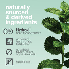 Natural ingredients imagery with mint leaves