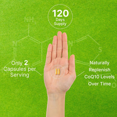 Usage directions for 240 veggie capsules