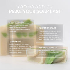 Fresh collection scent delivers citrus-woody aroma for daily routines.