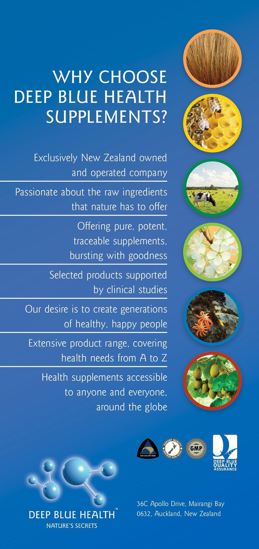 Dried sea cucumber powder used in Deep Blue Health capsules