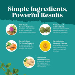 Herbal ingredients layout featuring turmeric and ginger