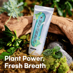 Aloe Vera and Chamomile imagery associated with toothpaste formula