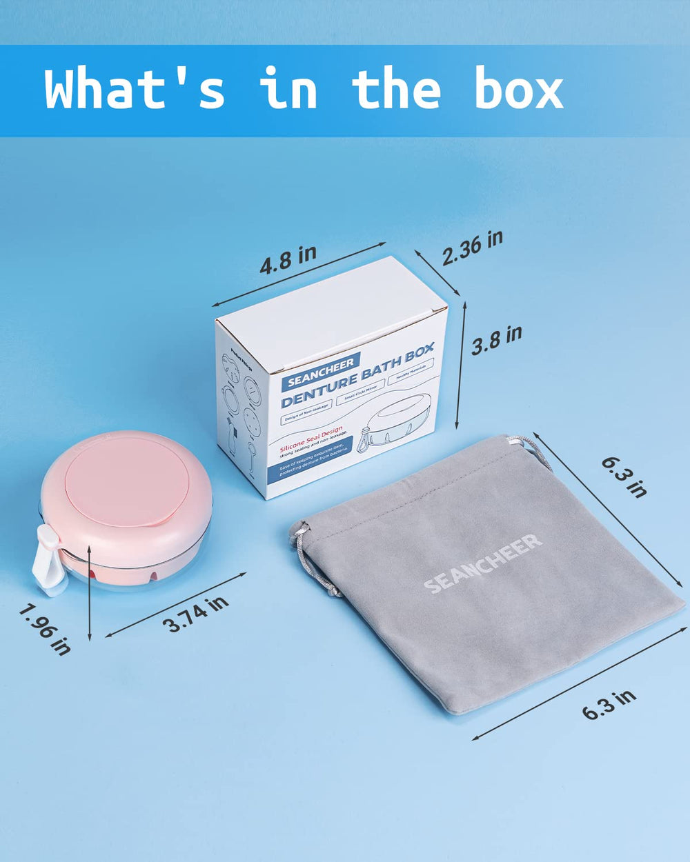Complete denture cleaning kit with case and accessories
