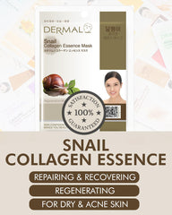 DERMAL Snail Collagen Mask Pack 10 sheets close-up highlighting nourishing essence.