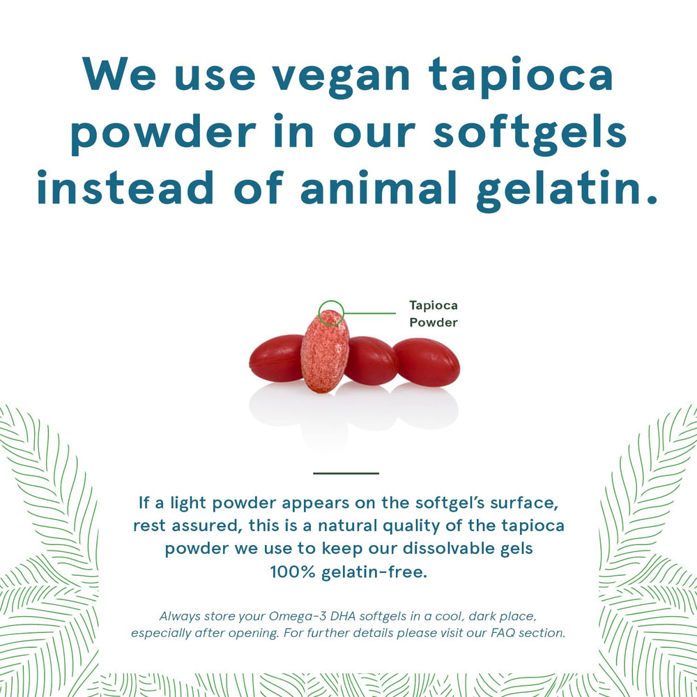 Close-up of algae-derived DHA softgel capsule