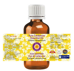 Close-up of Deve Herbes Cardamom Essential Oil bottle 10ml