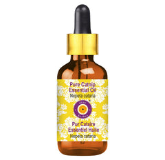 5ml amber glass bottle with glass dropper of Catnip Essential Oil