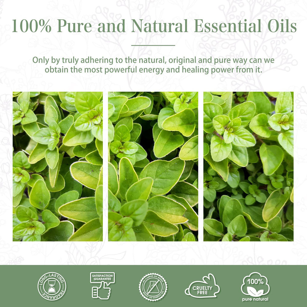Oregano essential oil used in a diffuser and humidifier