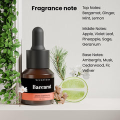 Spa-inspired fragrance profile with bergamot, ginger, mint