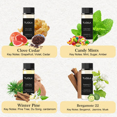 Hotel luxury waterless diffuser set – Clove Cedar scent bottle