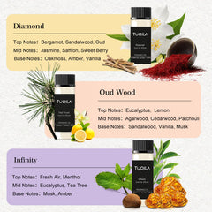 Hotel luxury waterless diffuser set – Winter Pine scent bottle