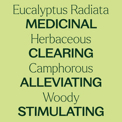 Diffuser with Eucalyptus Radiata essential oil