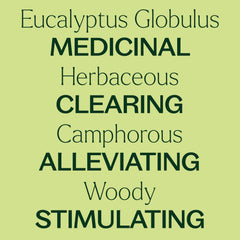 Diffuser emitting mist with eucalyptus oil scene