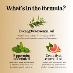 Diffuser with Focus essential oil blend