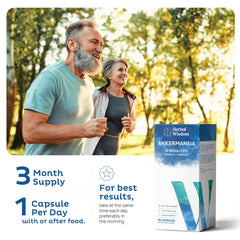 Digestive health and immune support illustration