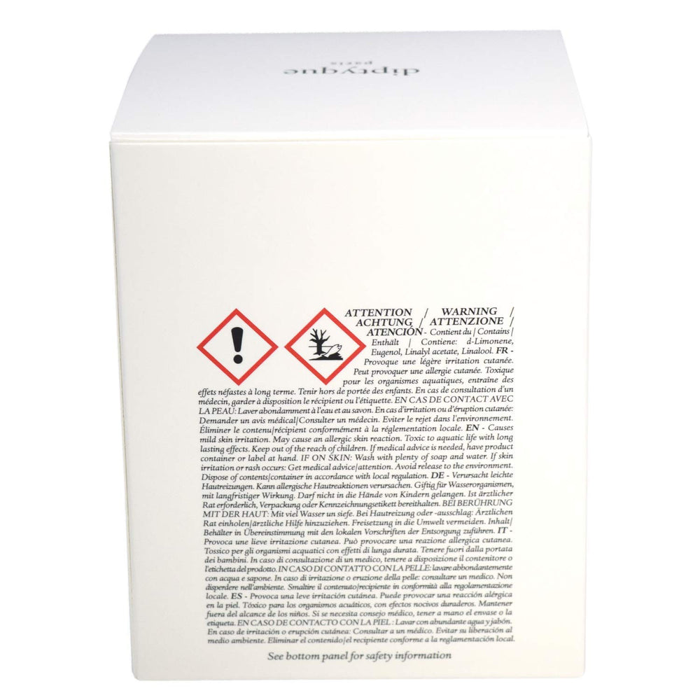 Diptyque Oranger candle packaging box presents a gift-ready, premium presentation.