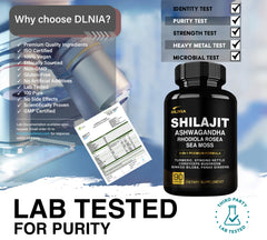 Plant-based DLNIA Shilajit capsules