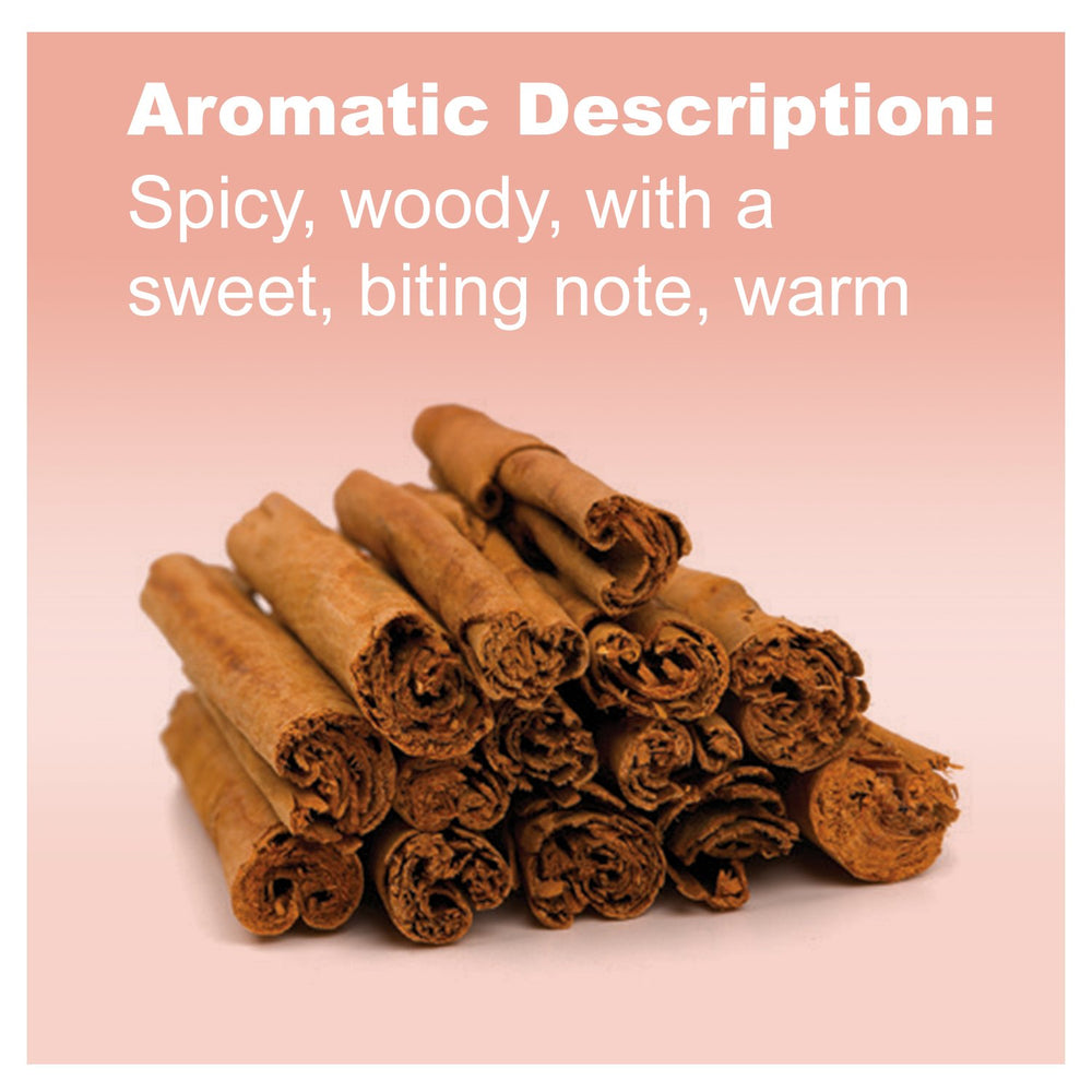 Cinnamon Bark and essential oil bottle arrangement