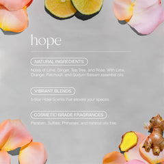 Diffuser with Doctor Aromas Hope essential oil in use