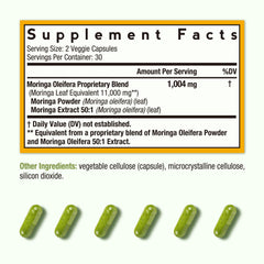 Close-up of Moringa leaf powder and 50:1 extract