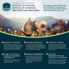 Illustration of heart health support for dogs and cats