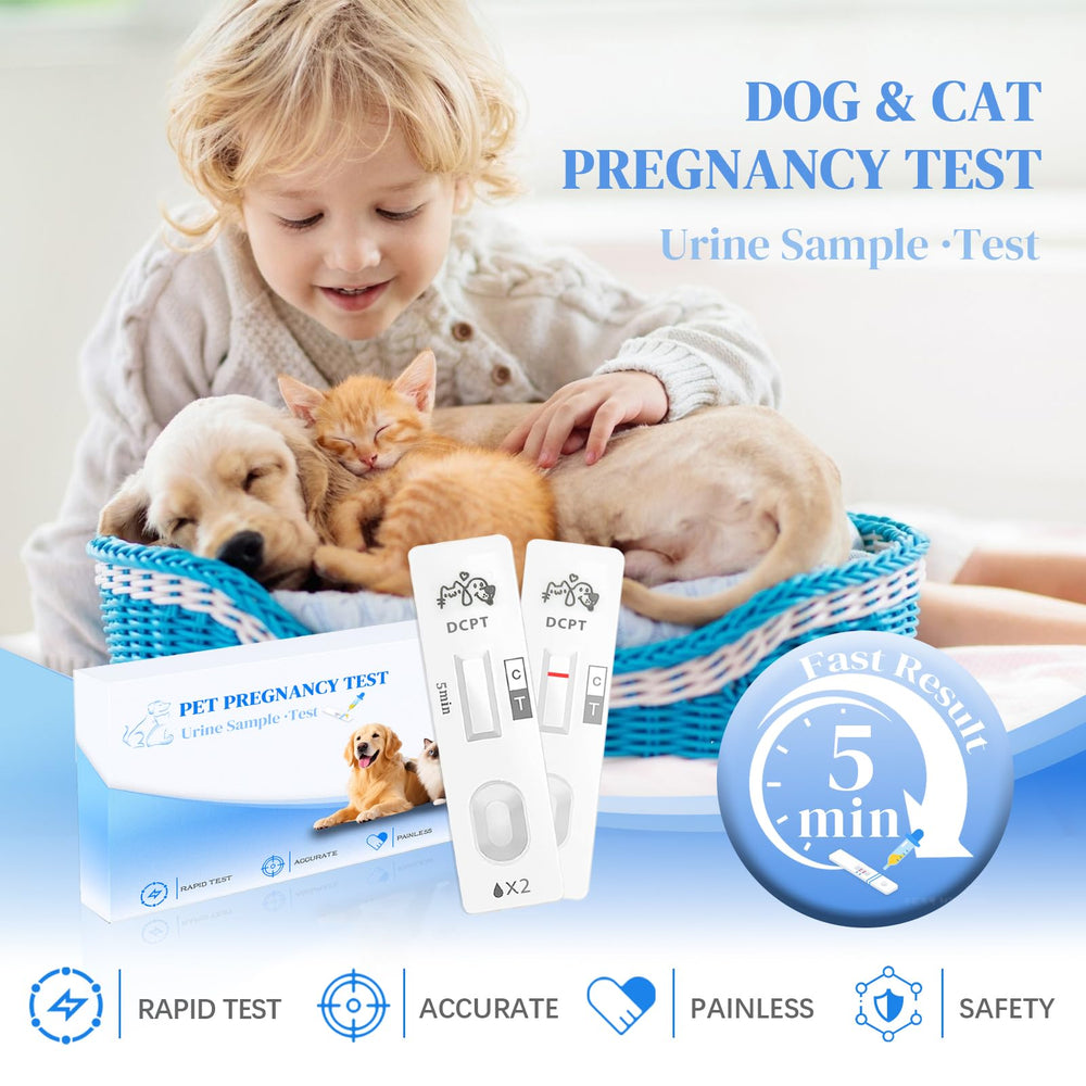 Dip test strip into dog or cat urine sample