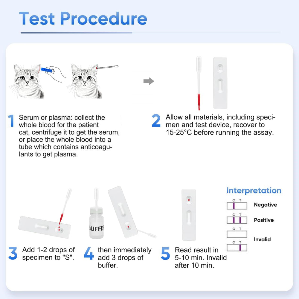 Pregnant result example showing two lines on the test