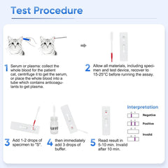 Pregnant result example showing two lines on the test