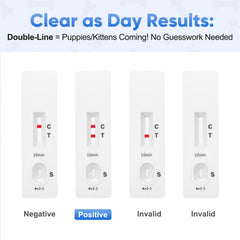 Not pregnant result example showing a single line