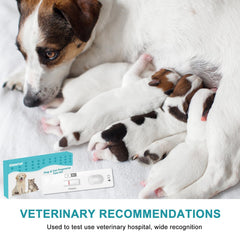 Box contents and packaging of the dog & cat pregnancy test kit