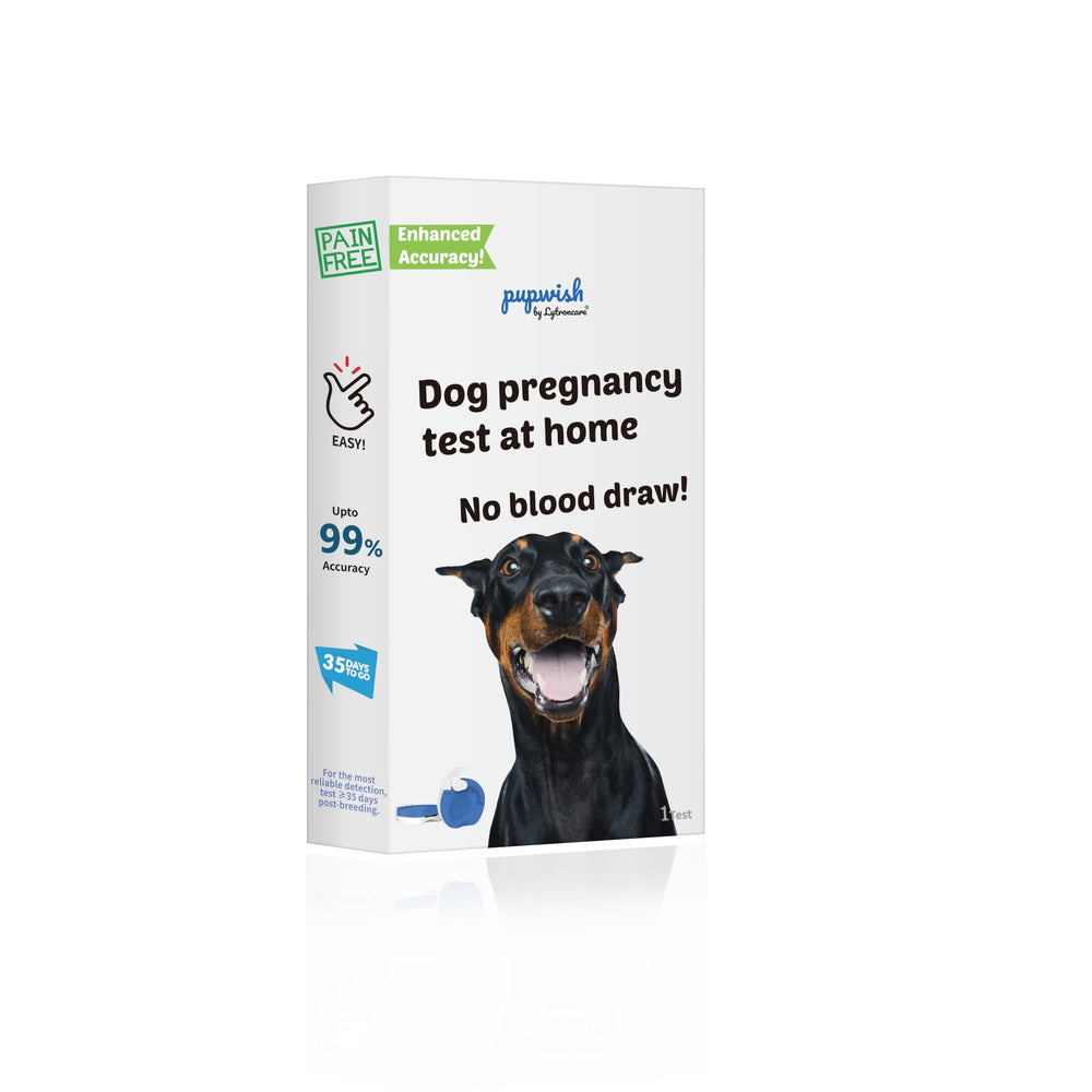 Front view of the Dog Pregnancy Test Kit at Home packaging