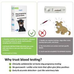 Painless and mess-free design features of the test kit