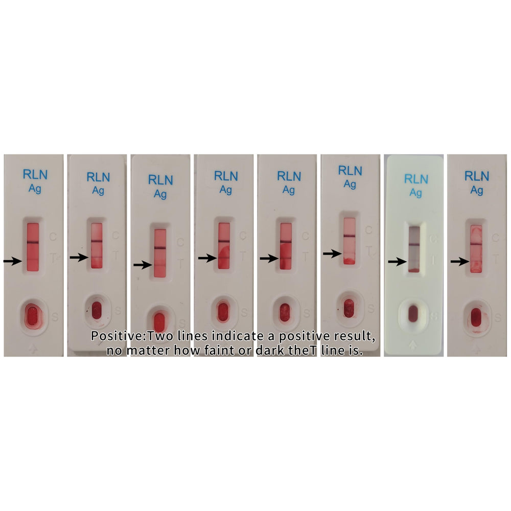 Breeder using the at-home dog pregnancy test kit