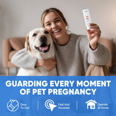 Close-up of test kit components for dog pregnancy test