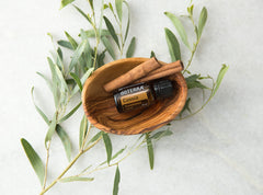 DoTERRA Cassia-ground-spice photo suggests adding warm flavor to recipes.