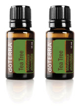 doTERRA Melaleuca essential oil bottle 15ml two-pack (hero image)